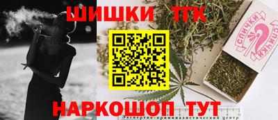 молекула духа Будённовск