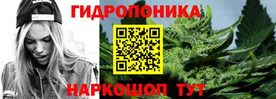 молекула духа Будённовск