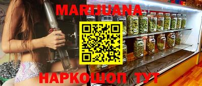 молекула духа Будённовск