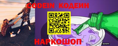 молекула духа Будённовск