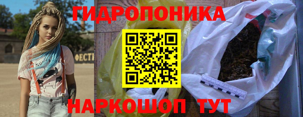 Бошки Шишки семена  Бошки Шишки гибрид  Бошки марихуана семена  Вход с VPN  МАРИХУАНА OG Kush  Лесозаводск 
